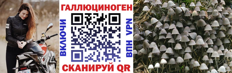 Псилоцибиновые грибы прущие грибы  Бокситогорск 